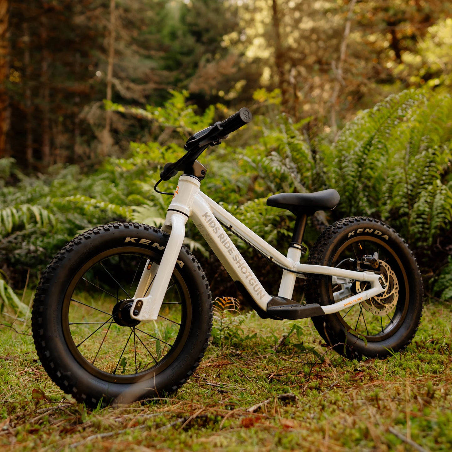 DIRT HERO OFF-ROAD BALANCE BIKE